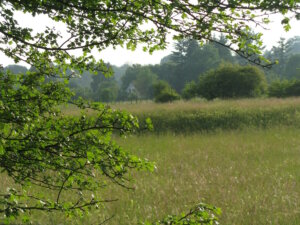 Sicherheit mit Alarmanlagen im Würmtal
